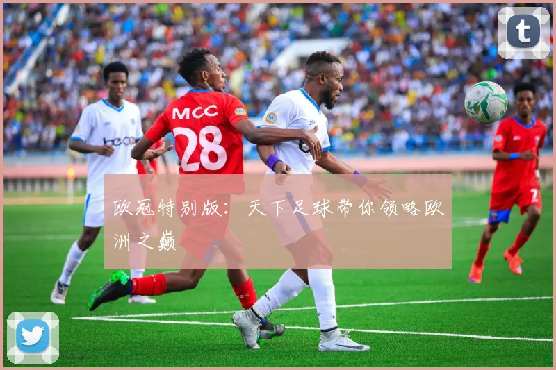 欧冠特别版：天下足球带你领略欧洲之巅